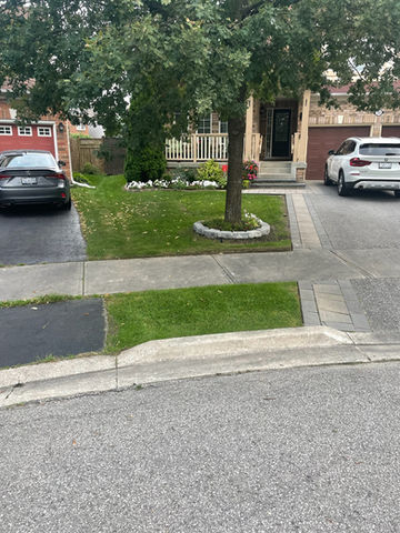 Atkins Bros Landscaping recent project